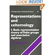 Representations and Cohomology: Volume 1, Basic Representation Theory of Finite Groups and Associative Algebras... by D. J. Benson