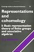Representations and Cohomology: Volume 1, Basic Representation Theory of Finite Groups and Associative Algebras (Cambridge Studies in Advanced Mathematics)