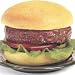 Angus Burger
