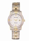 Pierre Cardin Men's Watch #PCD2183TW