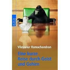 Eine kurze Reise durch Geist und Gehirn. (Taschenbuch)