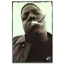 Notorious B.I.G. - Music Poster - 22 x 34