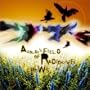 A Golden Field Of Radioactive Crows