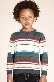 Pure Cotton Multi Striped Knitted Jumper