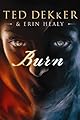 Burn (Christian Mystery Series)