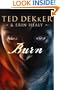 Burn (Center Point Christian Mystery (Large Print))