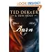 Burn (Center Point Christian Mystery (Large Print))