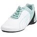 PUMA FLUXION, Herren Sportschuh, 300714-11