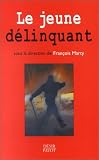 Le Jeune D�linquant