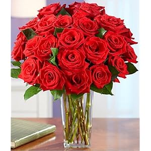 Two Dozen Red Roses
