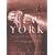 New York: An Illustrated History