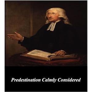 Predestination Calmly Considered
