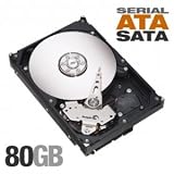 Item 2011: Seagate ST380815AS