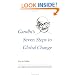 Gandhi's Seven Steps to Global Change (Peacewatch Edition)