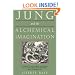 Jung & the Alchemical Imagination (Jung on the Hudson Book Series)