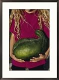 An Apache-type watermelon planted from seeds found in an Indian cave in Arizona Subject Framed Art Poster Print by Sam Abell, 21x29