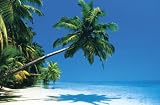 TROPICAL ISLAND POSTER OCEAN BEACH PALM TREE NEW ST4158