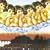 Japanese Whispers