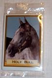 Horse Racing Trading Cards -- 100th Anniversary Daily Racing Form 1994 Belmont Park -- Featuring Holy Bull -- 10 trading cards