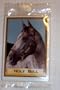 Horse Racing Trading Cards -- 100th Anniversary Daily Racing Form 1994 Belmont Park -- Featuring Holy Bull -- 10 trading cards