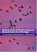 Making Sense of Death, Dying and Bereavement: An Anthology (Published in association with The Open University)