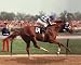 1973 Kentucky Derby Secretariat #101 - Art Print Poster 10 x 8