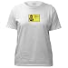 Ladies thrift shop shirt Awesome Women's T-Shirt by CafePress