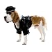 Biker Hound Dog Costume