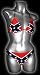 Confederate Flag Bikini Rebel Bathing Suit Swimsuit