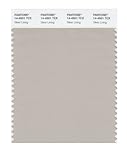 UPC 874086007235 product image for PANTONE SMART 14-4501X Color Swatch Card, Silver Lining | upcitemdb.com