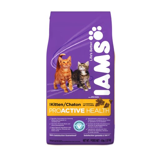 IAMS Kitten Proactive Health Dry Cat Food, 4-Pound