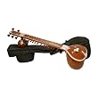 Sitar, Standard, Light Padded Nylon Case