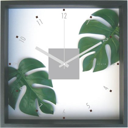F-Style Clock　（精密な人工観葉植物・時計）Monstera deliciosa モンステラ（モンセラ）