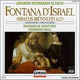 Fontana Disrael