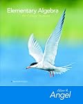 Elementary Algebra for College Students