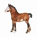 Bluebell - Clydesdale Foal&nbsp;