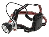 Rayovac High Pressure Xenon 3AA Headlight (Pack of 2)