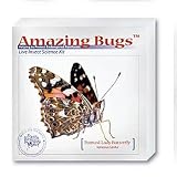 Painted Lady Butterfly Amazing Bugs Kit
