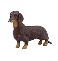 Dachshund Canine Collection