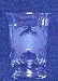Individually Hand Etched Crab Glass Candle Shade 5.75"h Set / 2