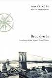 Brooklyn is: Southeast of the Island - Travel Notes
