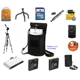 Panasonic Lumix DMC-FX33 IS Platinum Accessory Kit (Incl. LOWEPRO Carrying Case and LOWEPRO... by Panasonic