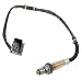Automotive : Bosch 17053 Oxygen Sensor