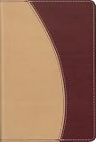 NIV Compact Thinline Bible