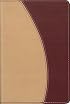 NIV Compact Thinline Bible