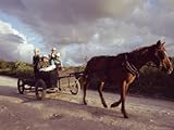 IMAGE OF Traditional Mennonite Family with Pony and Trap, Camp 9, Shipyard, Belize, Central America Stretched Canvas Poster Print by Upperhall Ltd, 18x24