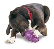 Premier Squirrel Dude Dog Toy, Large Premier Squirrel Dude Dog Toy, Large