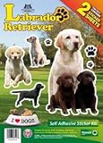 from Classic Sign & Design Labrador Retriever - Dog Stickers Twin pack, Self Adhesive Sticker Kit Apparel
