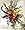 Fond Farewell Standing Funeral Spray, Premium