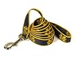 Michigan University NCAA Logo Dog Leash Narrow